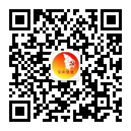 上海宝山区2026年年轻人储备人才招聘28人公告